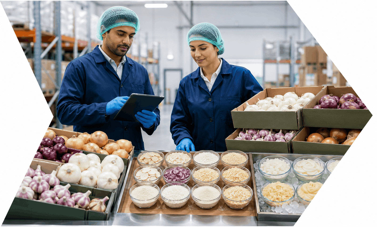 Evergain Export Products