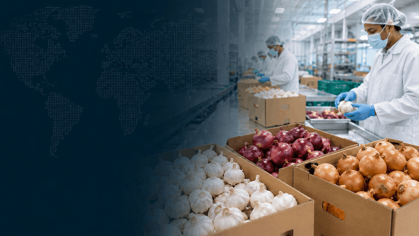 onions and garlic banner 3